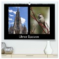 Ulmer Spatzen (hochwertiger Premium Wandkalender 2024 DIN A2 quer), Kunstdruck in Hochglanz - Kattobello Kattobello