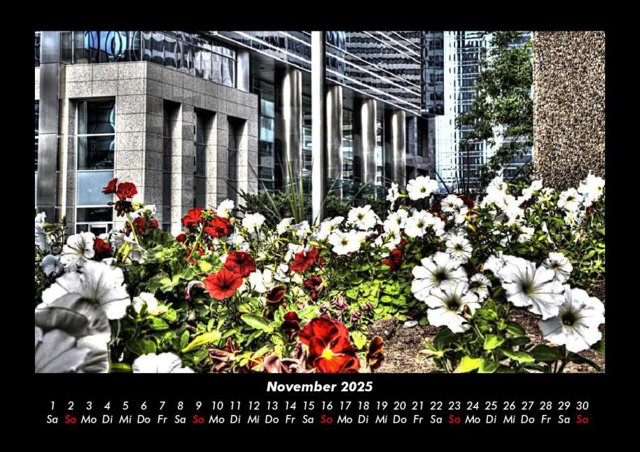 InsideView 3