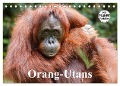 Orang-Utans (Tischkalender 2024 DIN A5 quer), CALVENDO Monatskalender - Elisabeth Stanzer