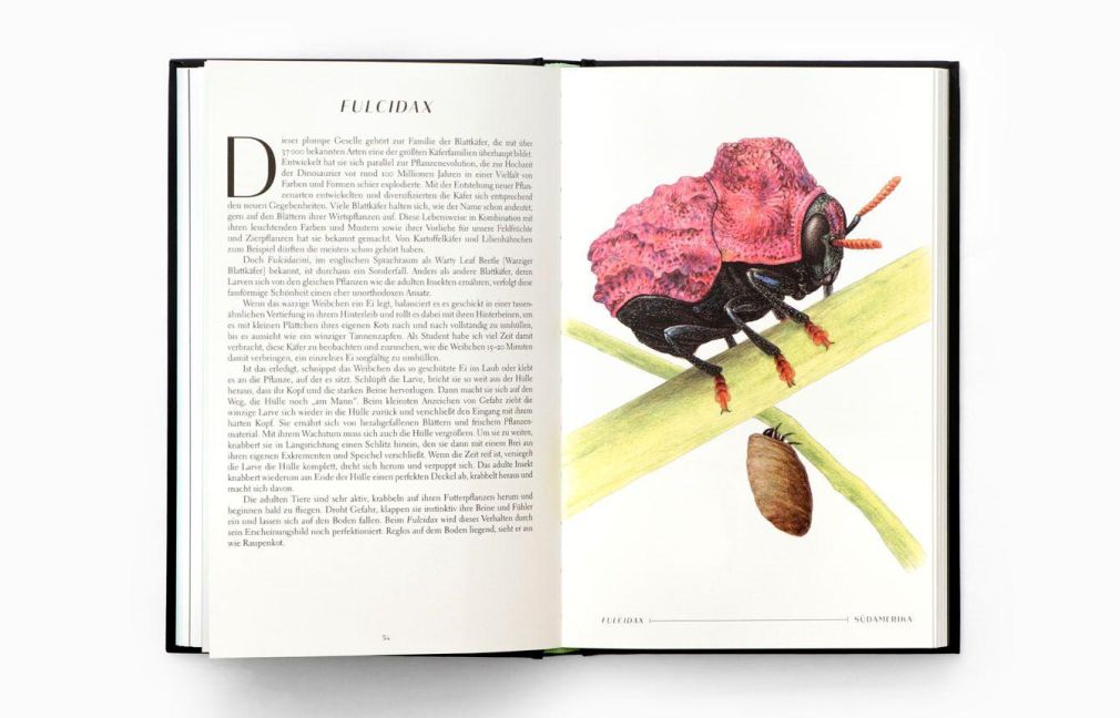 InsideView 10