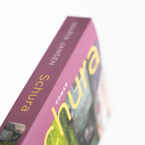 InsideView 5