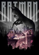 Cover-Bild zum Titel 'DC: Batman' von 'Insight Editions'