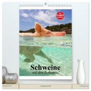 Cover-Bild zum Titel 'Schweine auf den Bahamas! (hochwertiger Premium Wandkalender 2026 DIN A2 hoch), Kunstdruck in Hochglanz' von 'Elisabeth Stanzer'