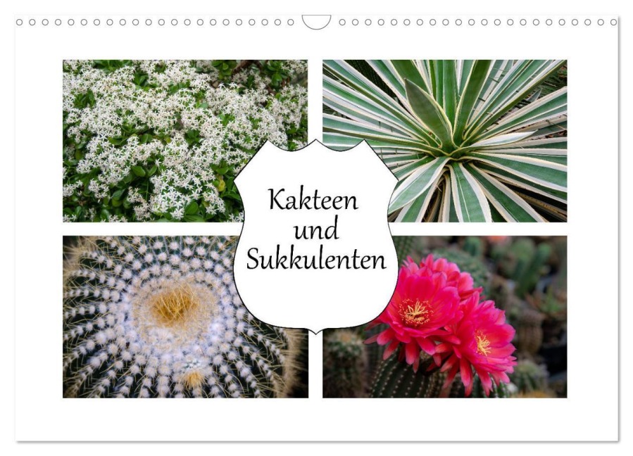 Kakteen und Sukkulenten (Wandkalender 2026 DIN A3 quer), CALVENDO Monatskalender - Steffen Gierok