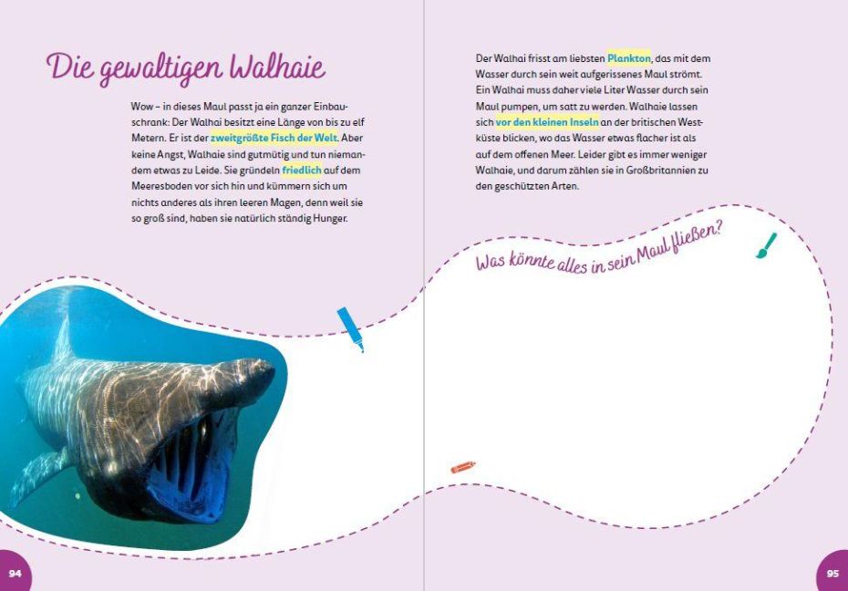 InsideView 5