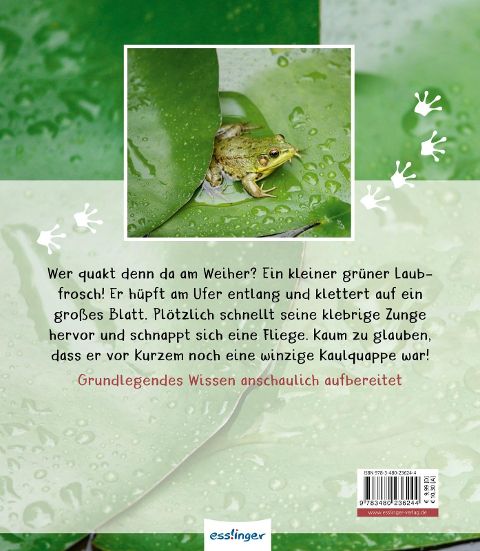 InsideView 6