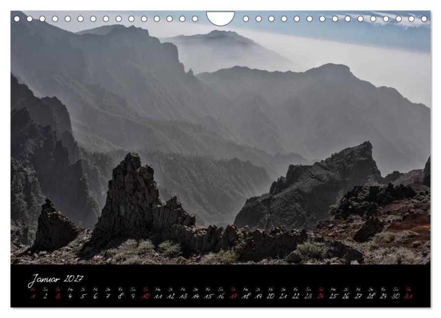 InsideView 6