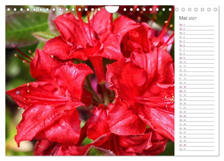 InsideView 10