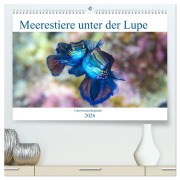 Cover-Bild zum Titel 'Meerestiere unter der Lupe - Unterwasserkalender (hochwertiger Premium Wandkalender 2026 DIN A2 quer), Kunstdruck in Hochglanz' von 'Sven Gruse'