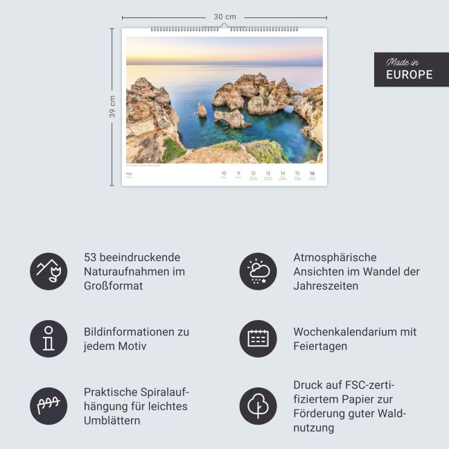 InsideView 13