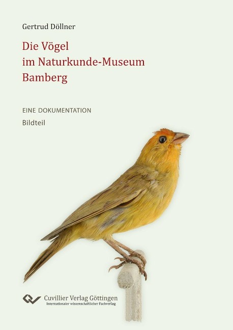 Die Vögel im Naturkunde-Museum Bamberg - 