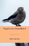 Cover-Bild zum Titel 'Vögel in der Dunkelheit I' von 'Meta Flaeming'