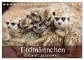 Erdmännchen (Tischkalender 2024 DIN A5 quer), CALVENDO Monatskalender - Elisabeth Stanzer