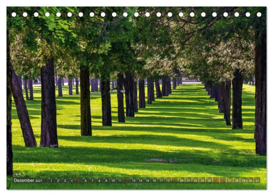 InsideView 4