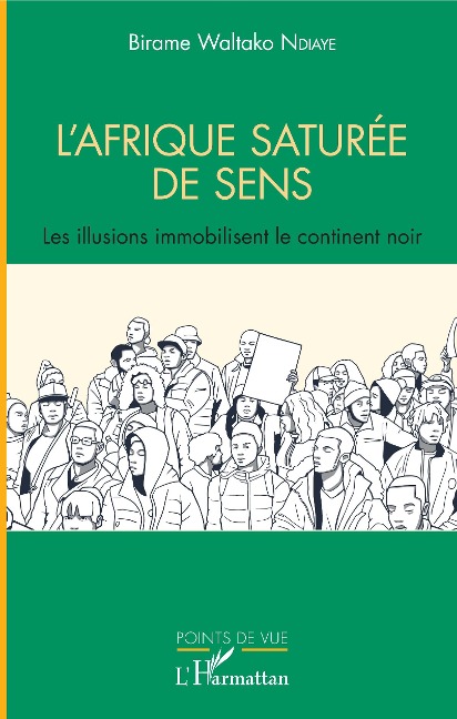 L'Afrique saturée de sens - Birame Waltako Ndiaye