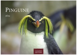 Pinguine 2026 L 35x50cm - 