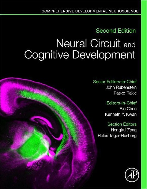 Neural Circuit and Cognitive Development - 