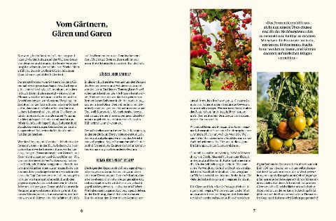 InsideView 4