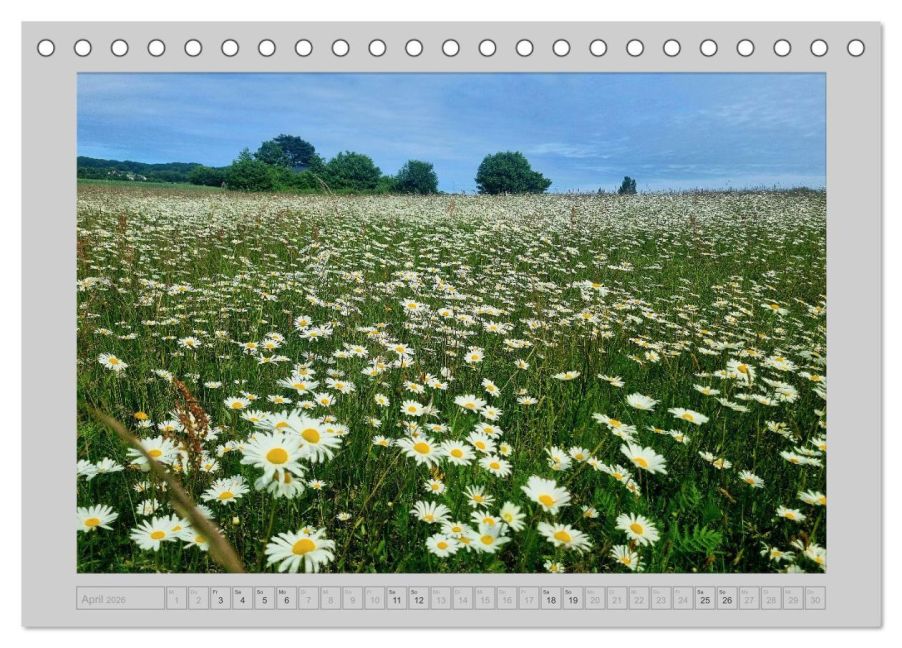InsideView 9