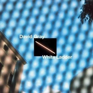 White Ladder - David Gray