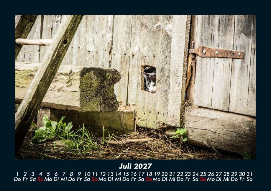 InsideView 11