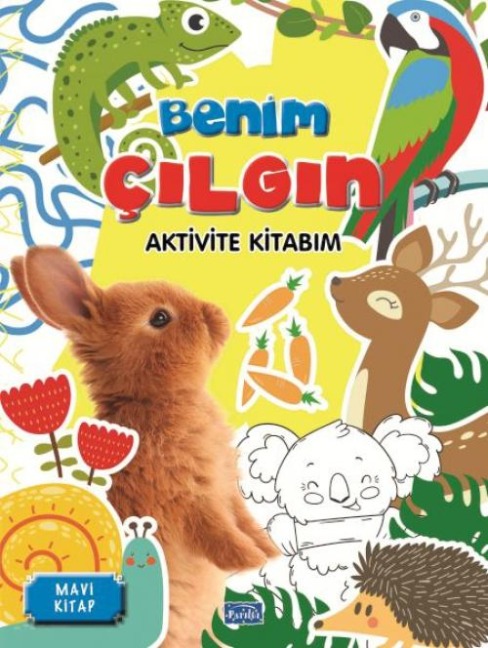 Benim Cilgin Aktivite Kitabim - Mavi Kitap - Barbaros Özcan