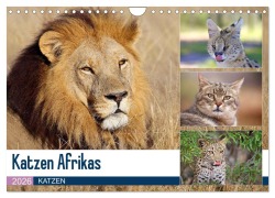 Katzen Afrikas (Wandkalender 2026 DIN A4 quer), CALVENDO Monatskalender - Michael Herzog