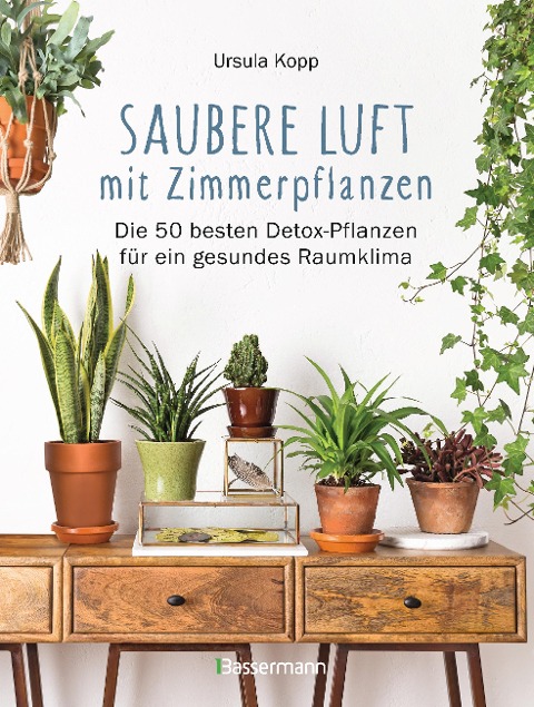 Saubere Luft mit Zimmerpflanzen - Ursula Kopp