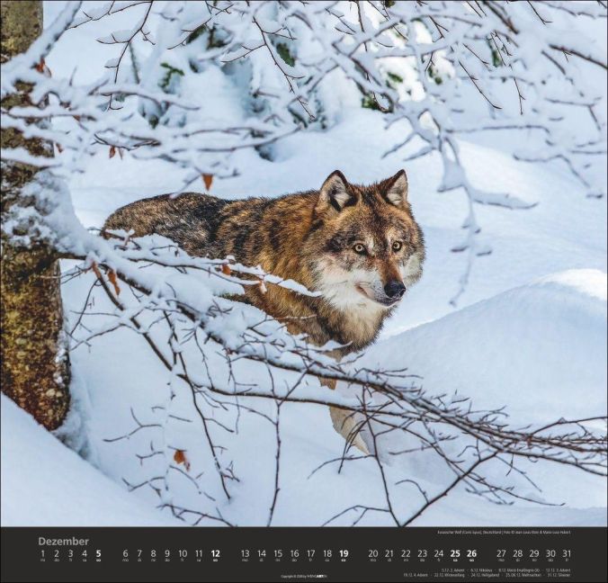 InsideView 12