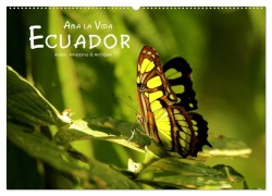 Cover-Bild zum Titel 'Ama la Vida Ecuador (Wandkalender 2026 DIN A2 quer), CALVENDO Monatskalender' von 'Dirk Stamm'