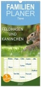 Cover-Bild zum Titel 'Familienplaner 2027 - Feldhasen und Kaninchen mit 5 Spalten (Wandkalender, 21 x 45 cm) CALVENDO' von 'Peter Roder'