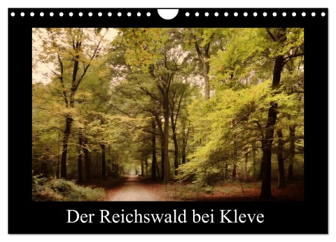 Der Reichswald bei Kleve (Wandkalender 2025 DIN A4 quer), CALVENDO Monatskalender - Gudrun Nitzold-Briele