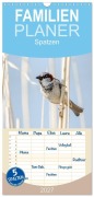 Cover-Bild zum Titel 'Familienplaner 2027 - Spatzen mit 5 Spalten (Wandkalender, 21 x 45 cm) CALVENDO' von 'Marianne Drews'