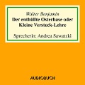 Cover-Bild zum Titel 'Der enthüllte Osterhase oder Kleine Versteck-Lehre' von 'Walter Benjamin'