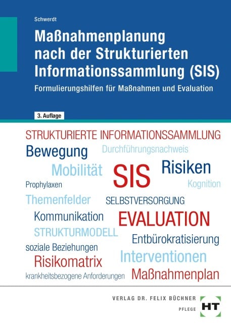 Maßnahmenplanung nach der Strukturierten Informationssammlung (SIS) - Christine Schwerdt