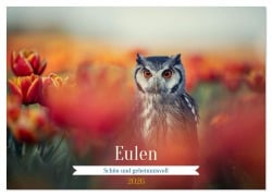 Cover-Bild zum Titel 'Eulen - schön und geheimnisvoll (Wandkalender 2026 DIN A4 quer), CALVENDO Monatskalender' von 'Tanja Brandt'