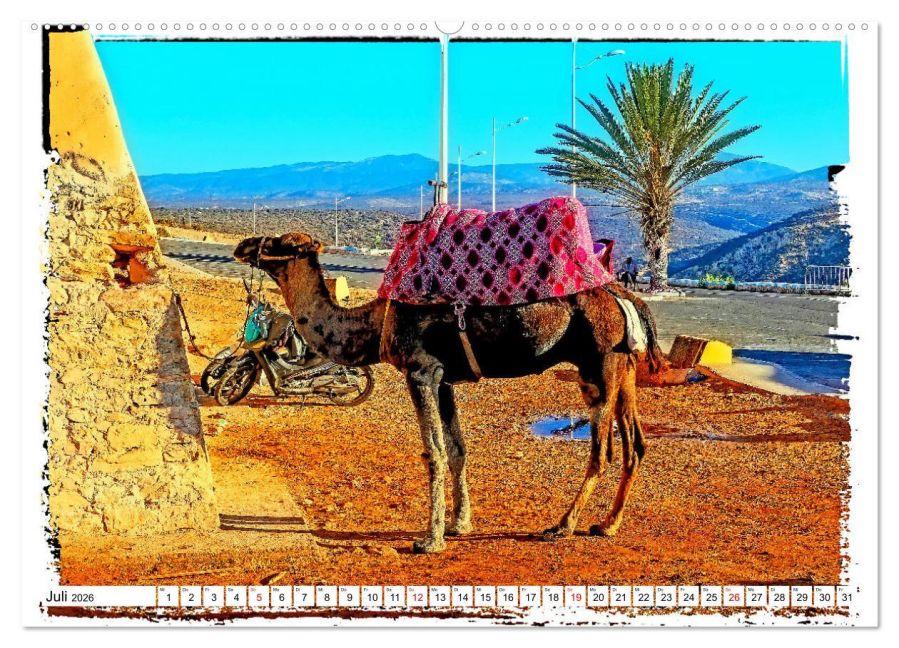 InsideView 12