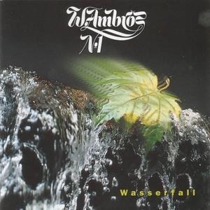 Wasserfall - Wolfgang Ambros