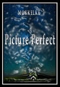 Picture Perfect - Mokkelke