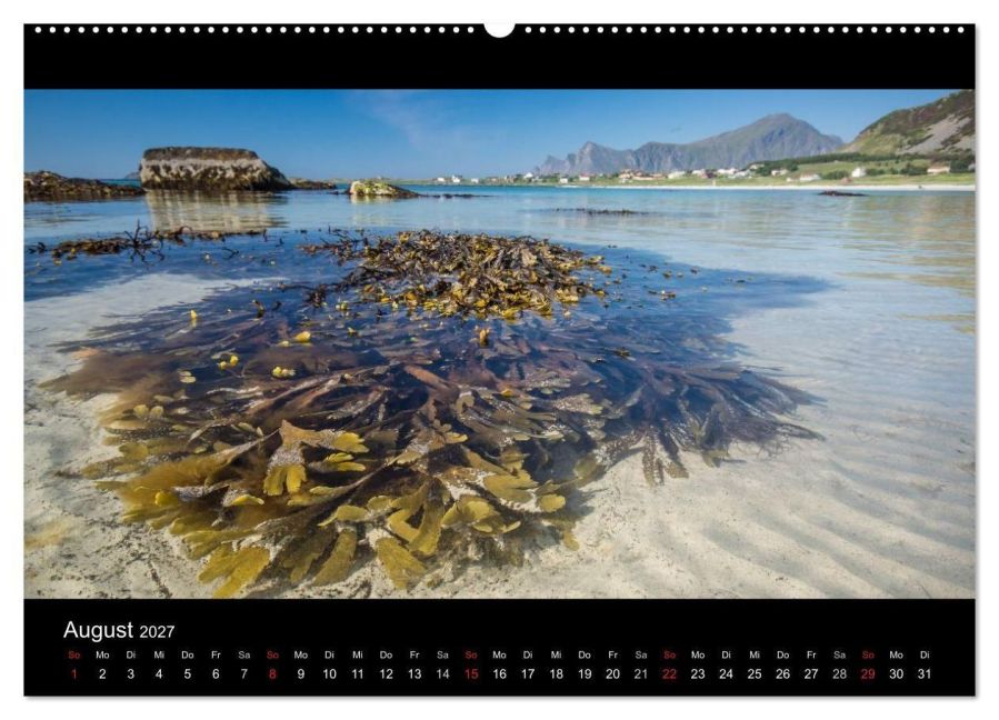 InsideView 12
