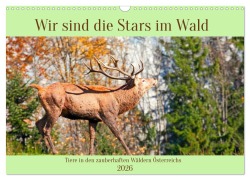 Wir sind die Stars im Wald (Wandkalender 2026 DIN A3 quer), CALVENDO Monatskalender - Christa Kramer