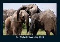 Der Elefantenkalender 2024 Fotokalender DIN A5 - Tobias Becker