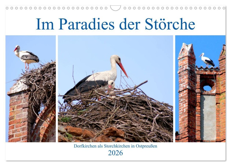 Im Paradies der Störche - Dorfkirchen als Storchkirchen in Ostpreußen (Wandkalender 2026 DIN A3 quer), CALVENDO Monatskalender - Henning von Löwis of Menar