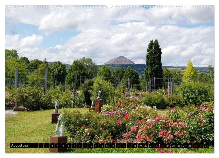 InsideView 13