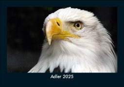 Cover-Bild zum Titel 'Adler 2025 Fotokalender DIN A5' von 'Tobias Becker'
