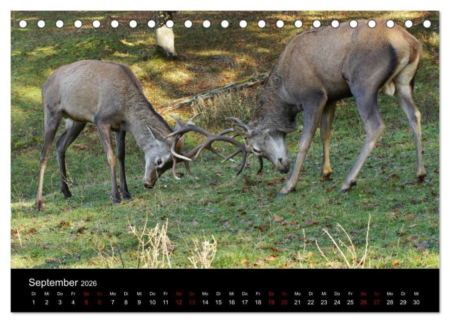 InsideView 14