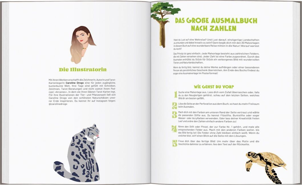 InsideView 5