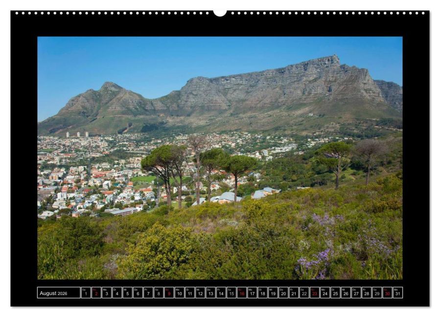 InsideView 12