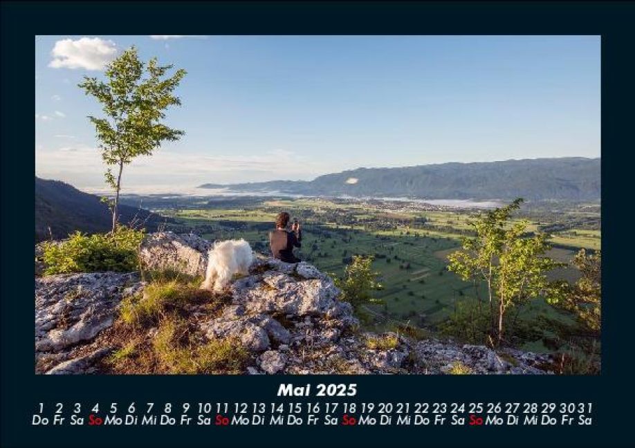 InsideView 9