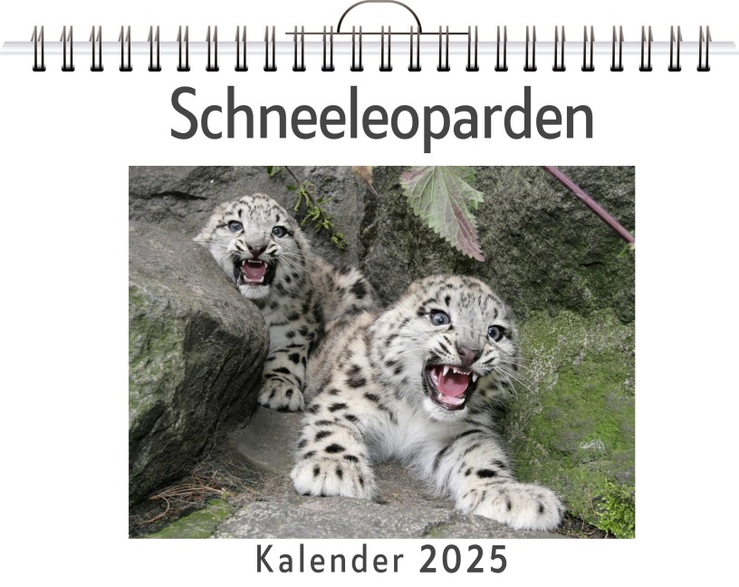 Schneeleoparden - Louis Peters